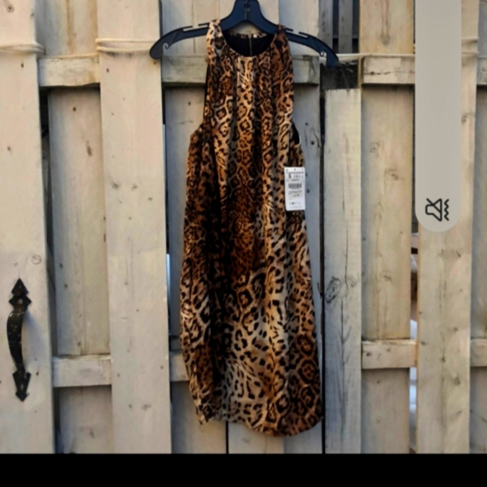 Zara Dress